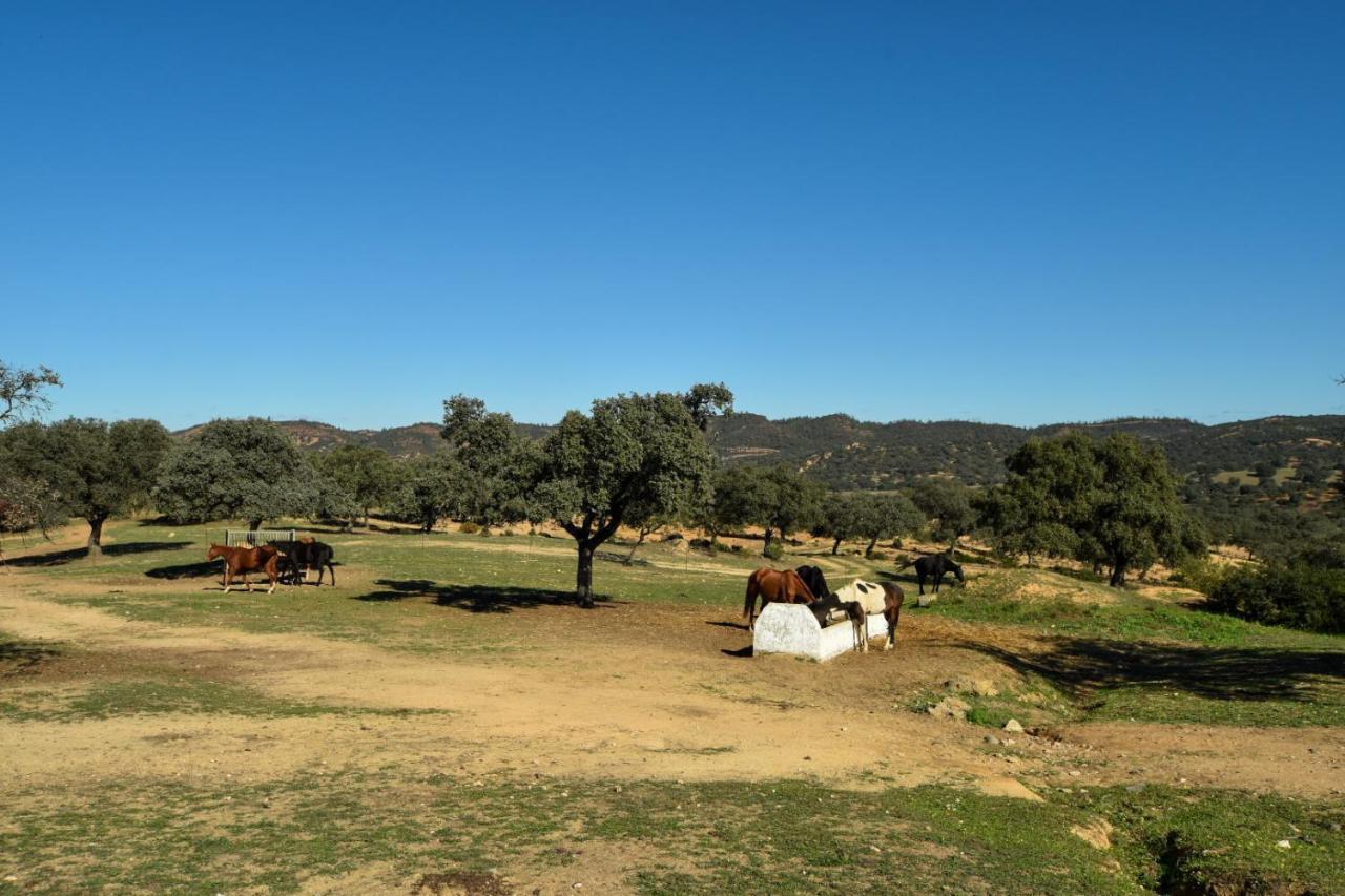 Finca Santa Maria De Las Canadas 埃尔加罗沃 外观 照片